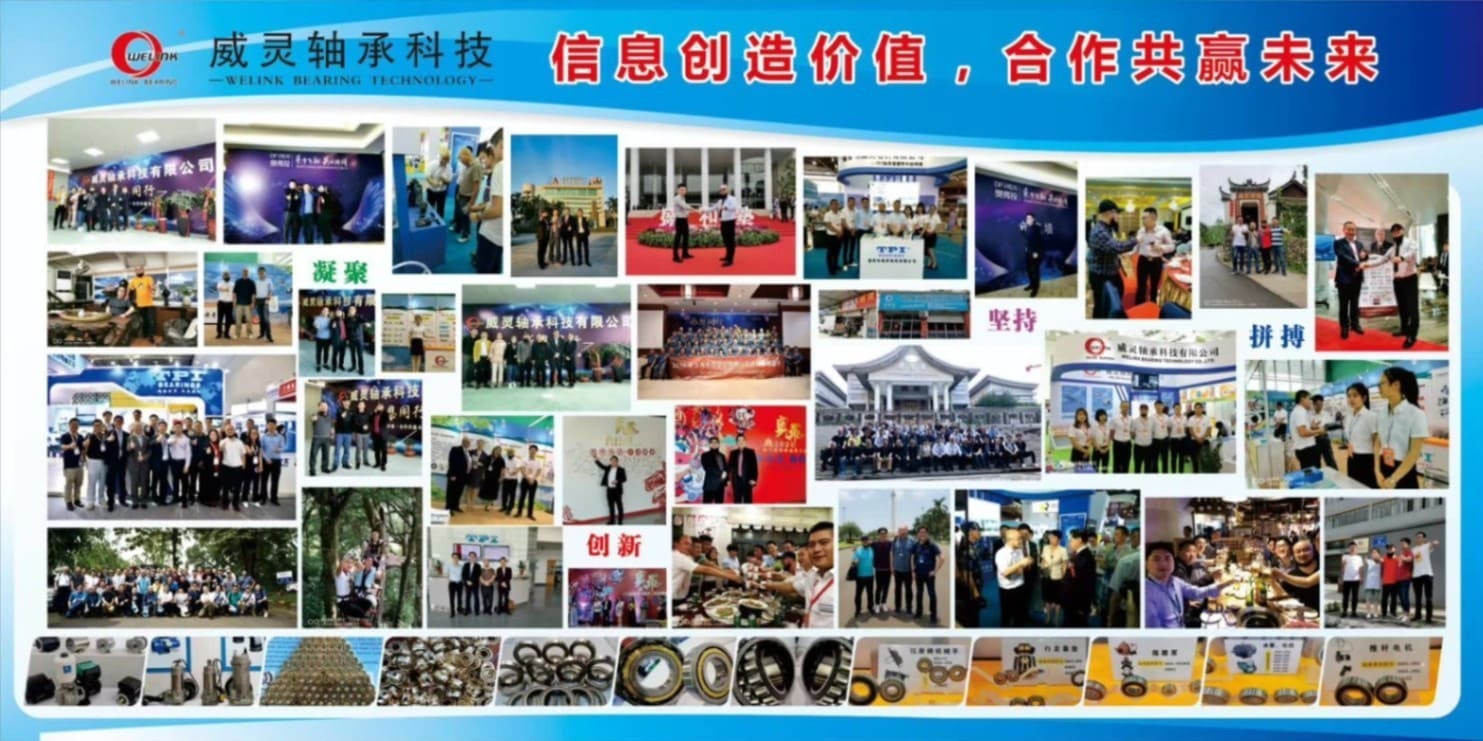 Welink Bearing Reflects on a Year of Strategic Growth in 2019