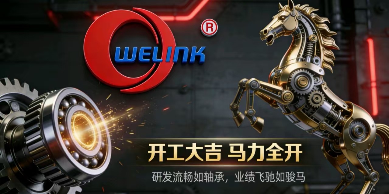 Full Speed Ahead! Welink Bearing Kicks Off the New Year with Momentum